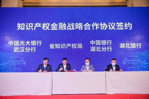 2022年首场湖北省专利技术供需对接会在汉成功举办 技术推广服务再升级