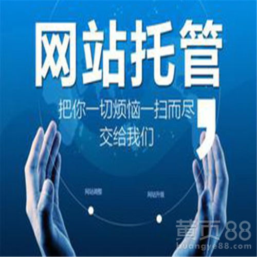 汽车清洗机网站建设优化一条龙服务 技术推广服务的全面策略