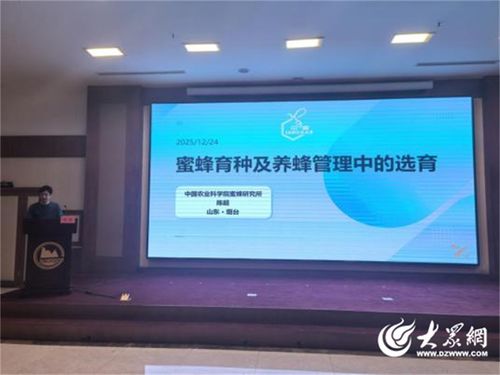 烟台市召开蜂业发展大会 以技术推广服务赋能特色产业高质量发展
